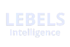 Logo transparente Lebels Intelligence